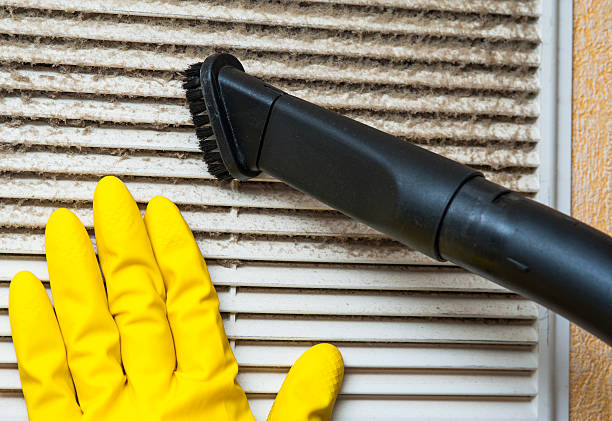 Best Ductwork Cleaning Services  in Troy, MI